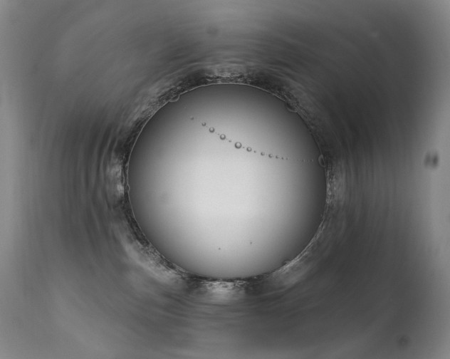 X0000112020187200908031406