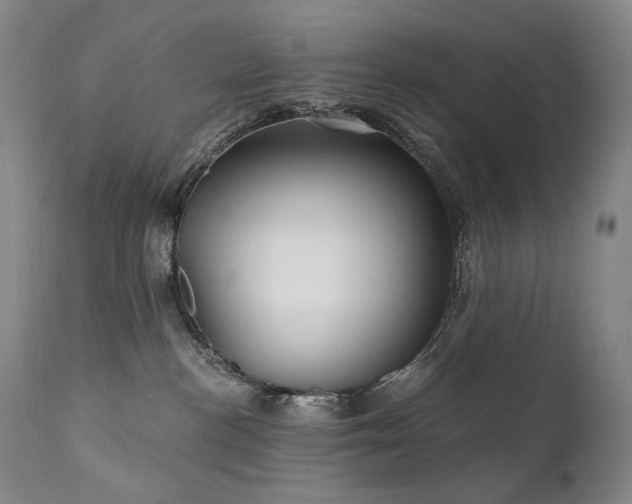 X0000112020188200908031406