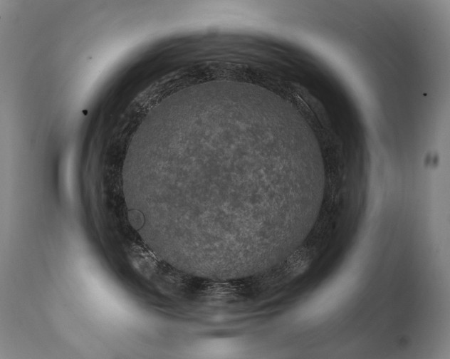 X0000112020189200908031406