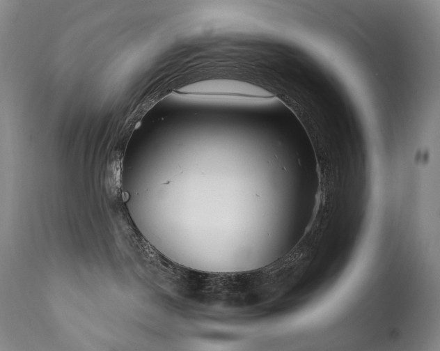 X0000112020190200908031406