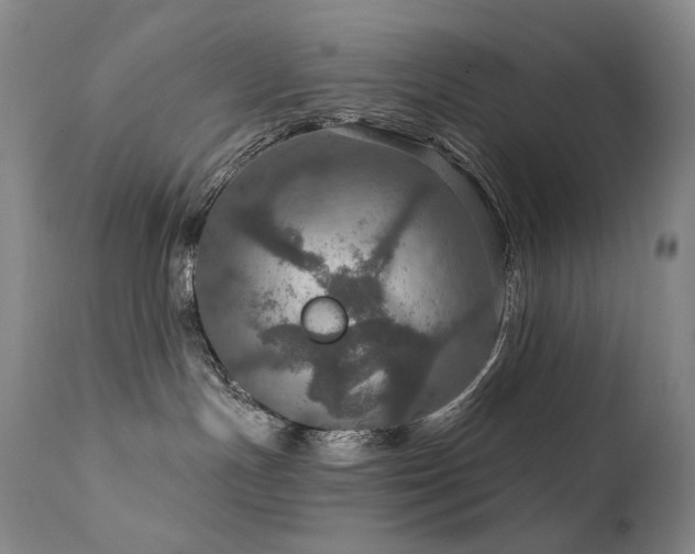 X0000112020191200908031406