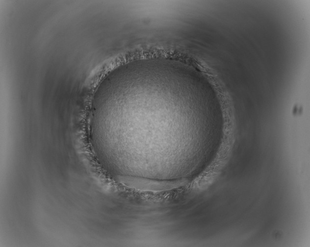 X0000112020192200908031406