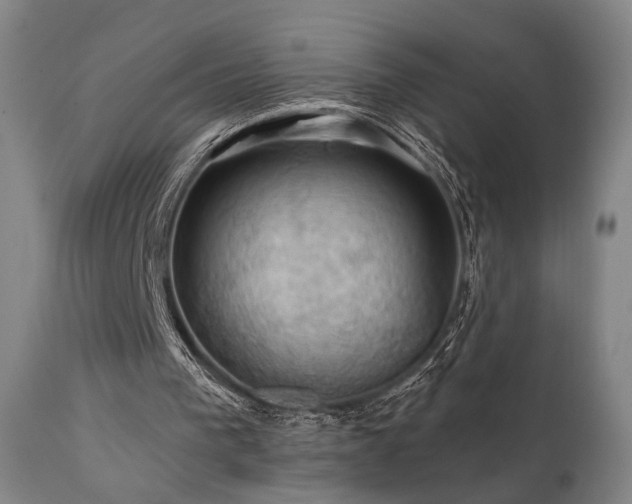 X0000112020193200908031405