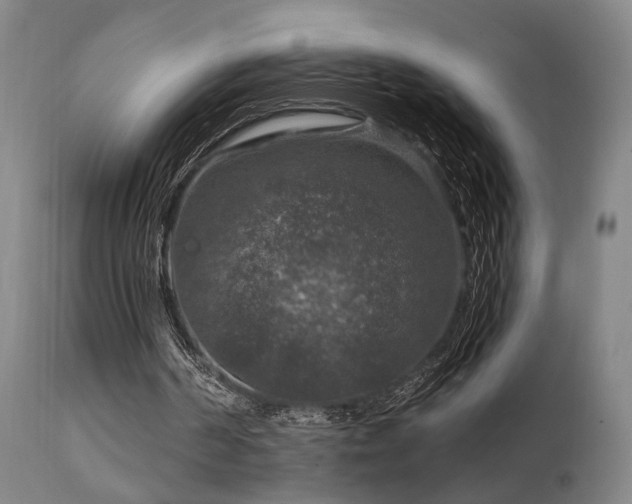 X0000112020194200908031405