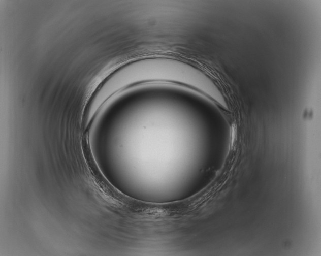 X0000112020195200908031405