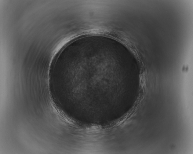 X0000112020196200908031405