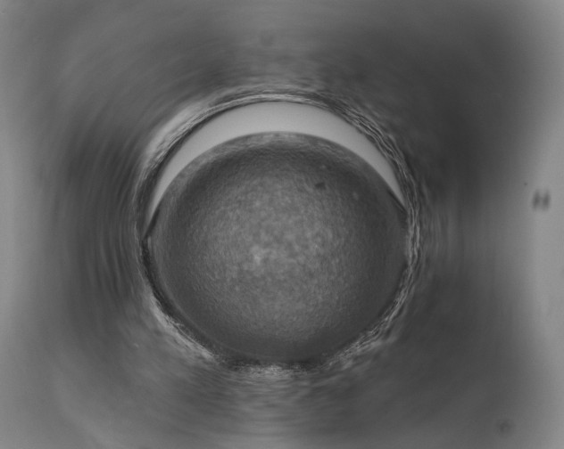 X0000112020197200908031405