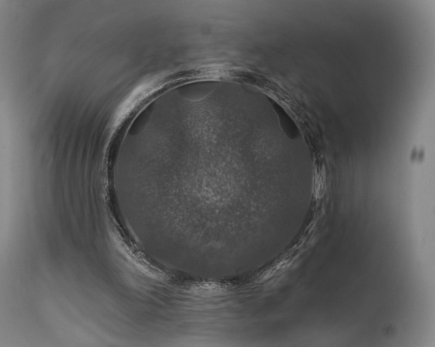 X0000112020198200908031405