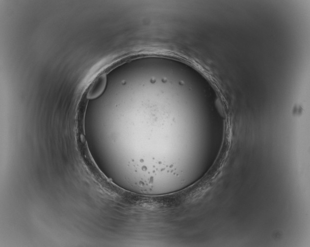 X0000112020199200908031405