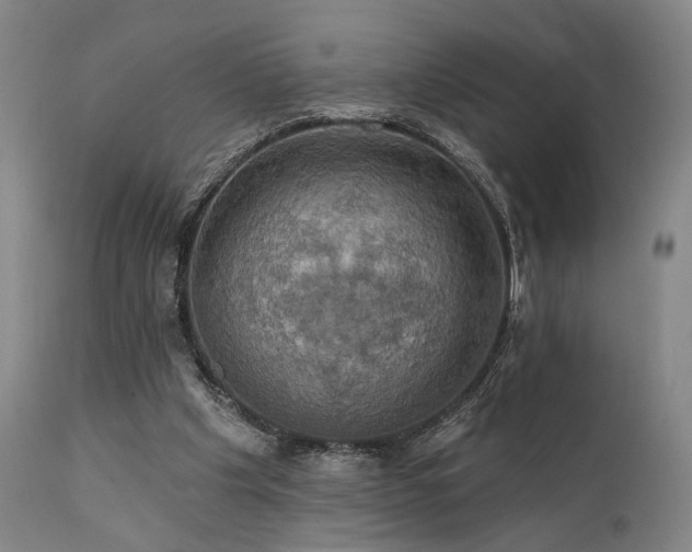 X0000112020201200908031405