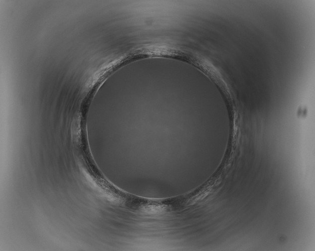 X0000112020202200908031405