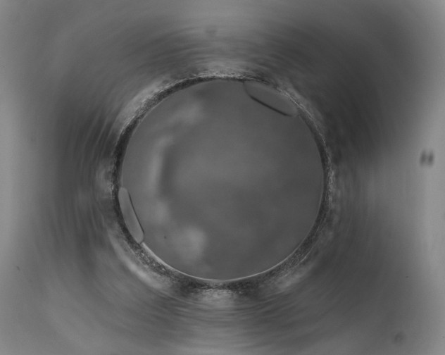 X0000112020203200908031405