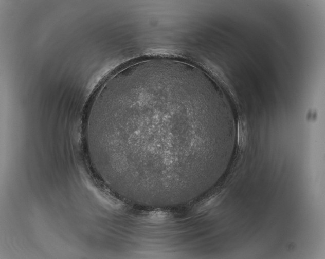 X0000112020204200908031405