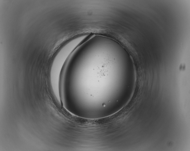 X0000112020207200908031405