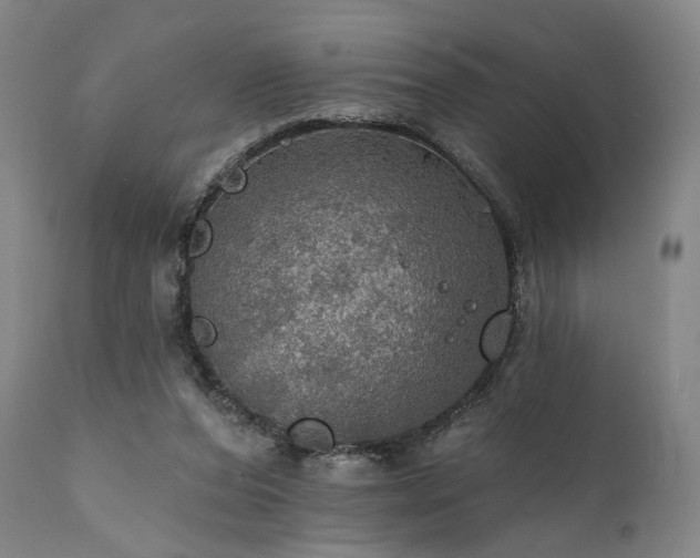 X0000112020208200908031405