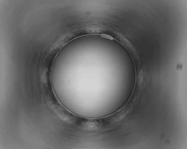 X0000112020209200908031405