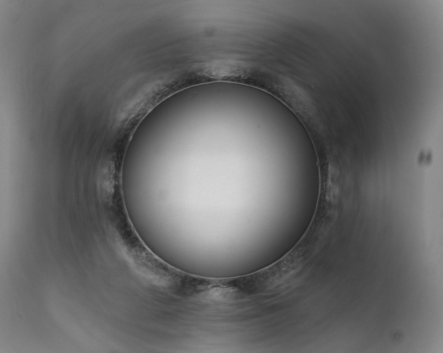 X0000112020210200908031405