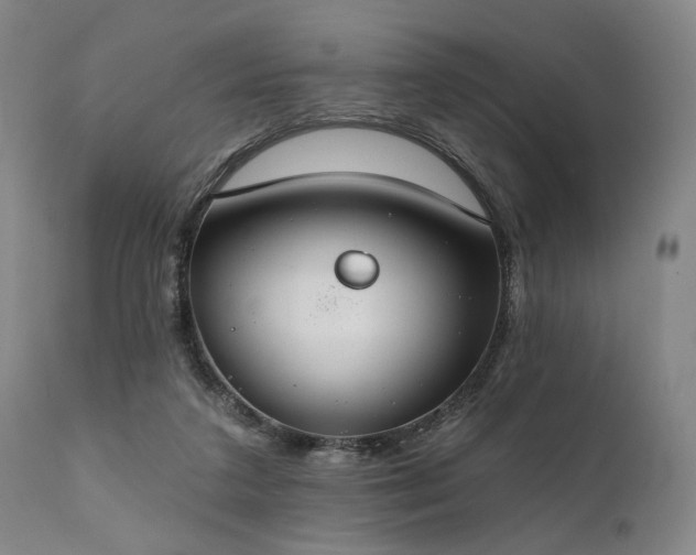 X0000112020211200908031405