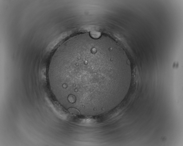 X0000112020212200908031405