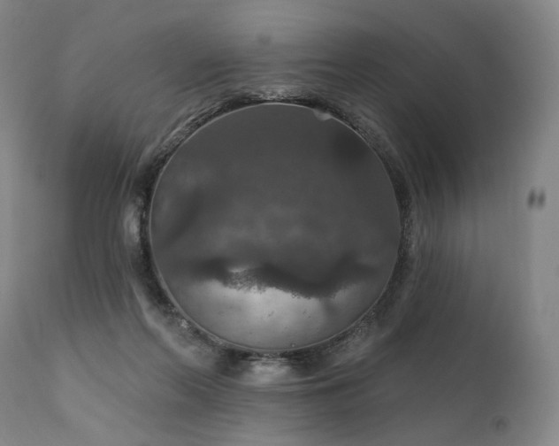 X0000112020214200908031405