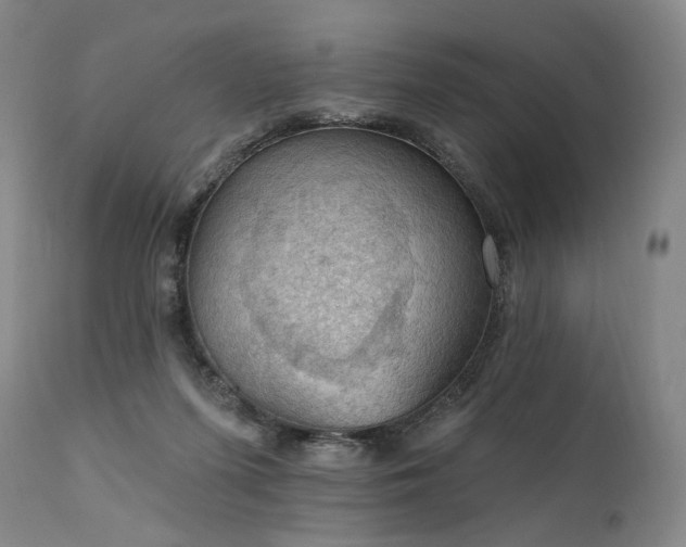 X0000112020215200908031405