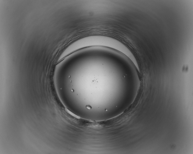 X0000112020217200908031405