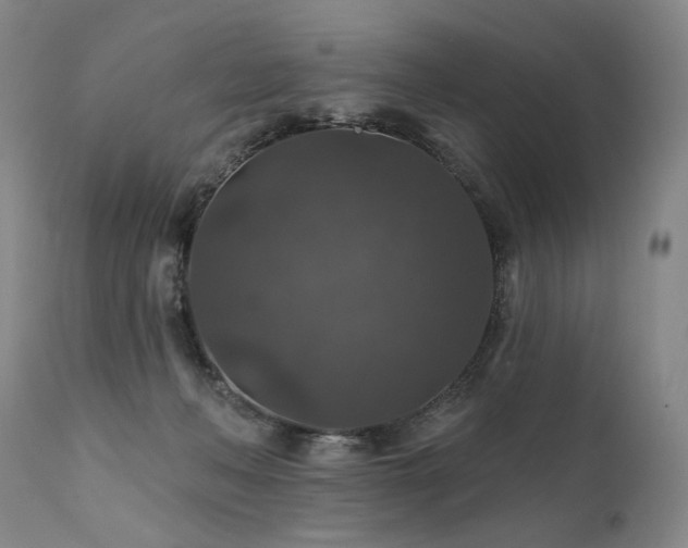 X0000112020222200908031405