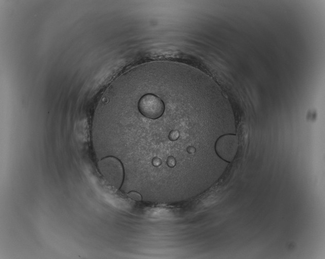 X0000112020224200908031405