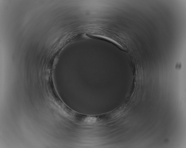 X0000112020227200908031405