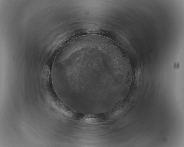 X0000112020228200908031405