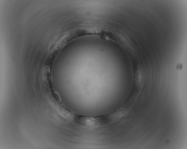 X0000112020229200908031405