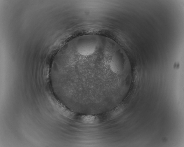 X0000112020230200908031405