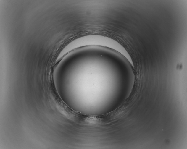 X0000112020231200908031405