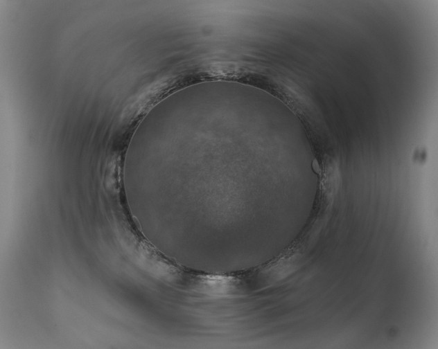 X0000112020233200908031405