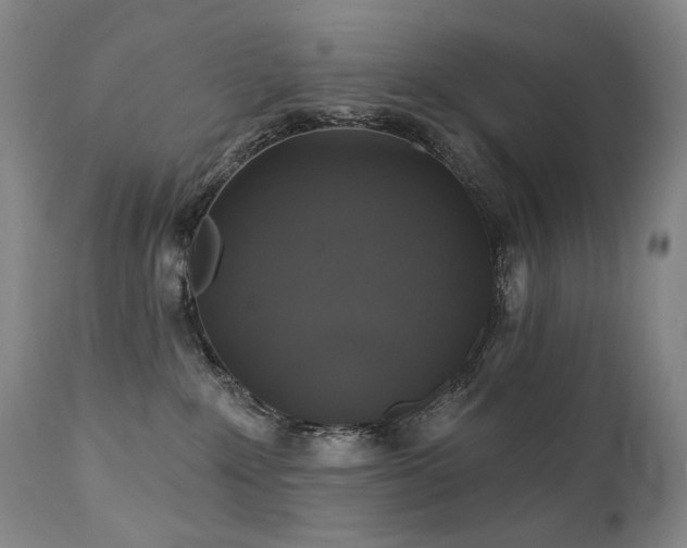 X0000112020235200908031405