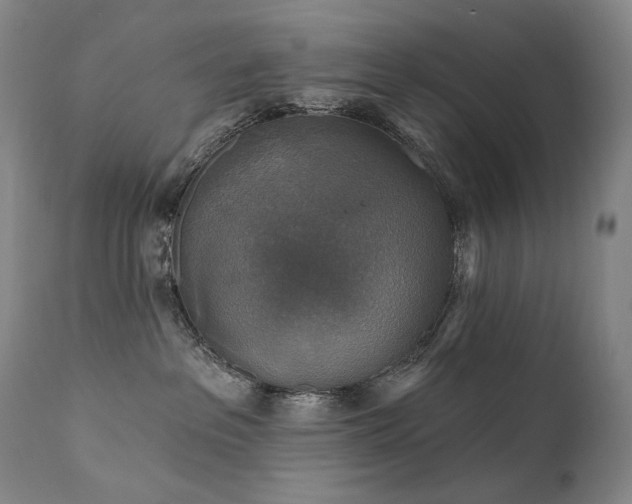 X0000112020237200908031405