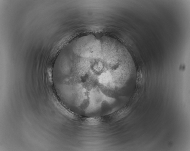 X0000112020238200908031405