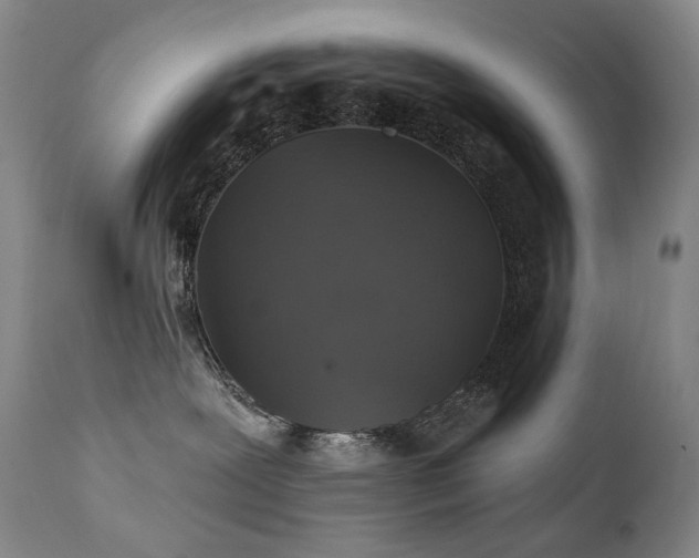 X0000112020239200908031405