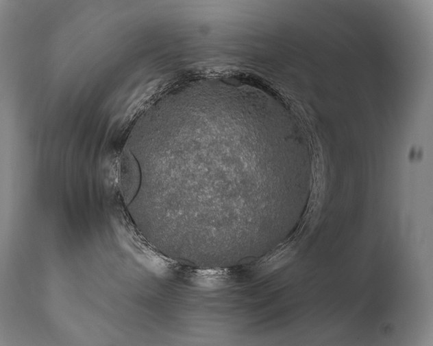 X0000112020240200908031405