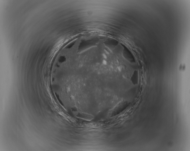 X0000112020241200908031404