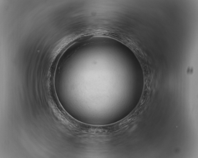 X0000112020242200908031404