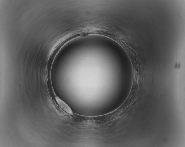 X0000112020244200908031404