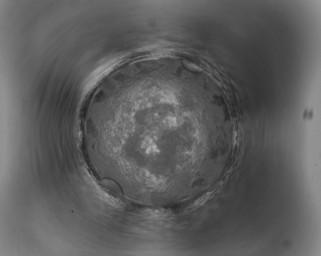 X0000112020245200908031404