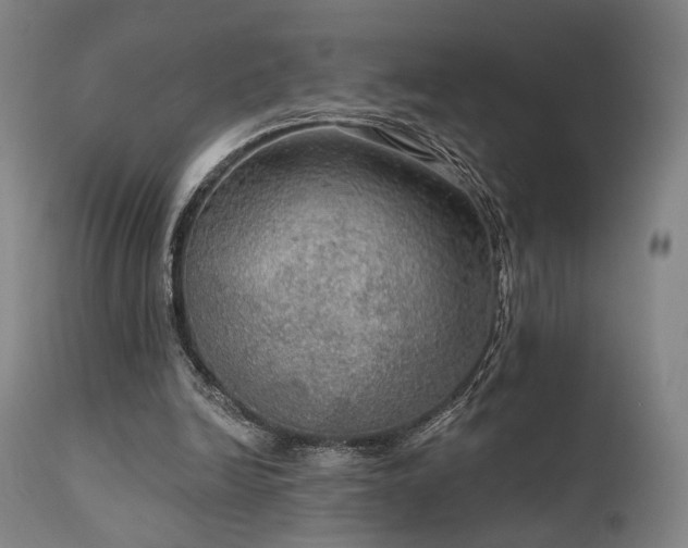 X0000112020246200908031404