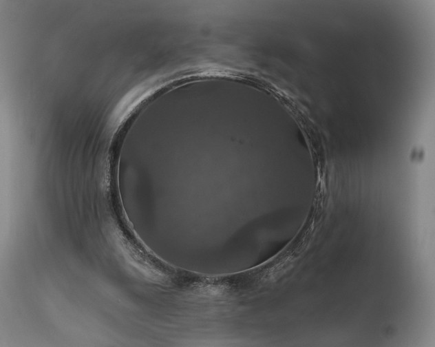 X0000112020247200908031404