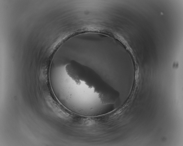 X0000112020249200908031404