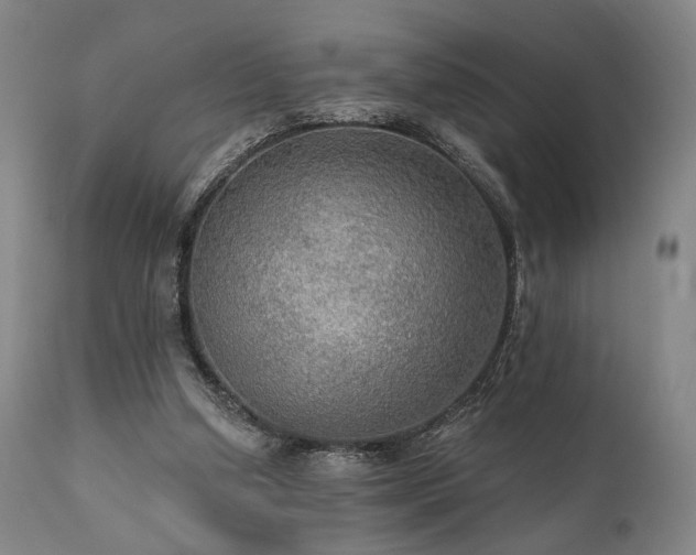 X0000112020250200908031404