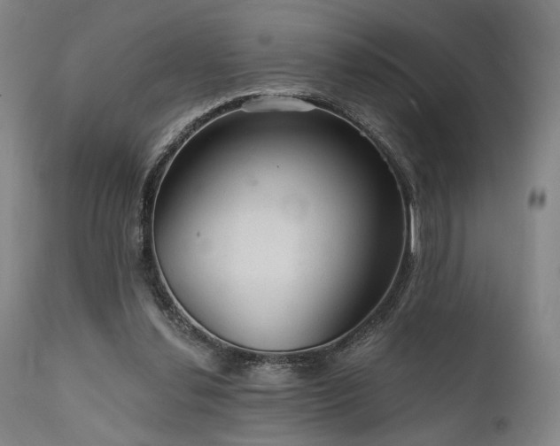 X0000112020252200908031404