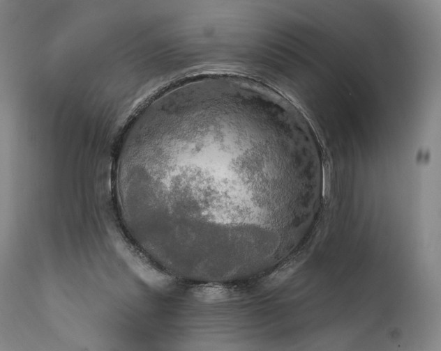 X0000112020253200908031404