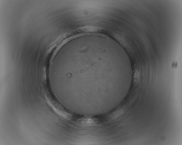 X0000112020254200908031404